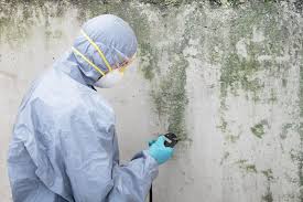 Professional Mold Remediation in Sawmills, NC